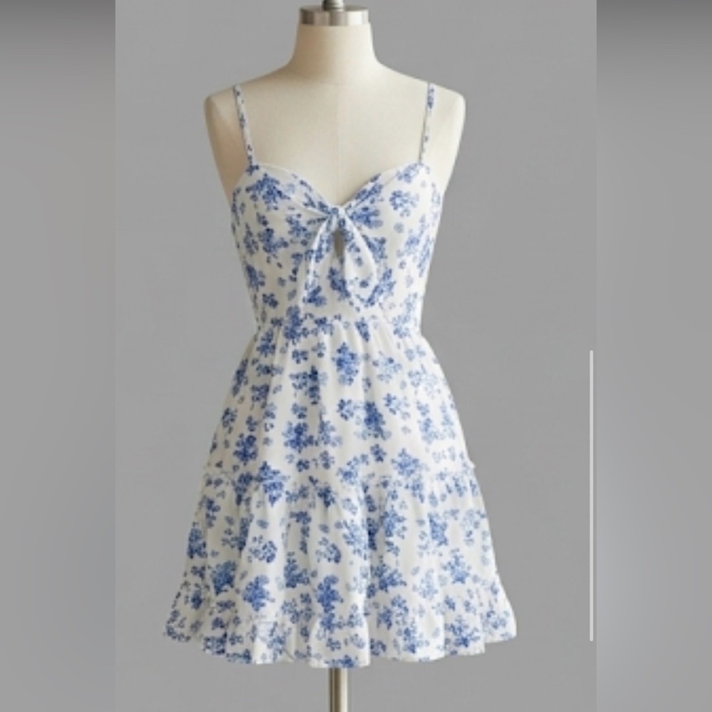 Floral Blue and White Dress